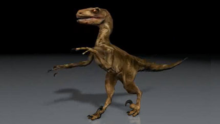 Raptor Animation